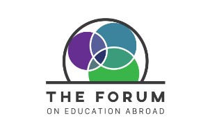 FEA Logo